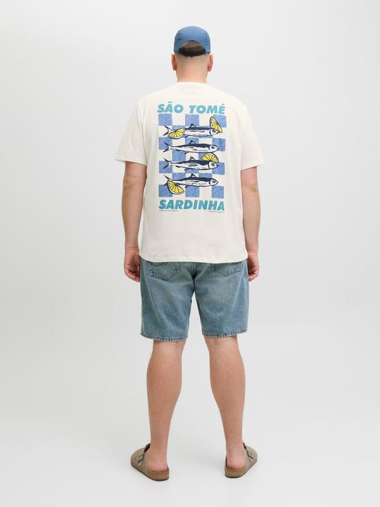Actual product image Jack & Jones Normal geschnitten Rundhalsausschnitt Plus T-Shirt T-shirt (3XL)