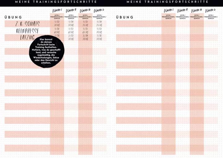 Image du produit Fitness Lifestyle Planer (Allemand, Sophia Thiel, 2019)