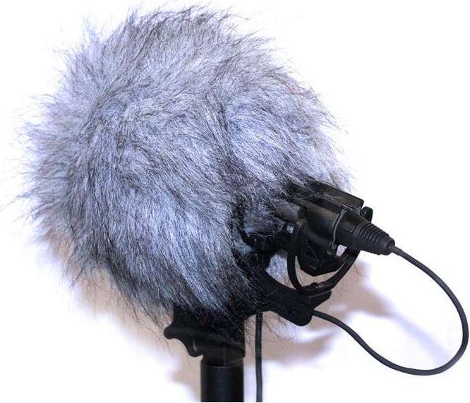 Actual product image Rycote Bbg Wj (Skins)