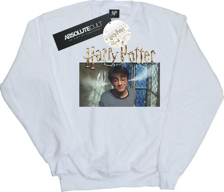 Steam Ears Sweatshirt (L)