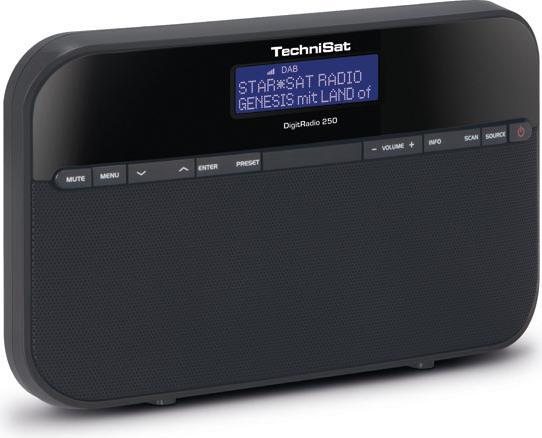 TechniSat DigitRadio 250 (DAB)