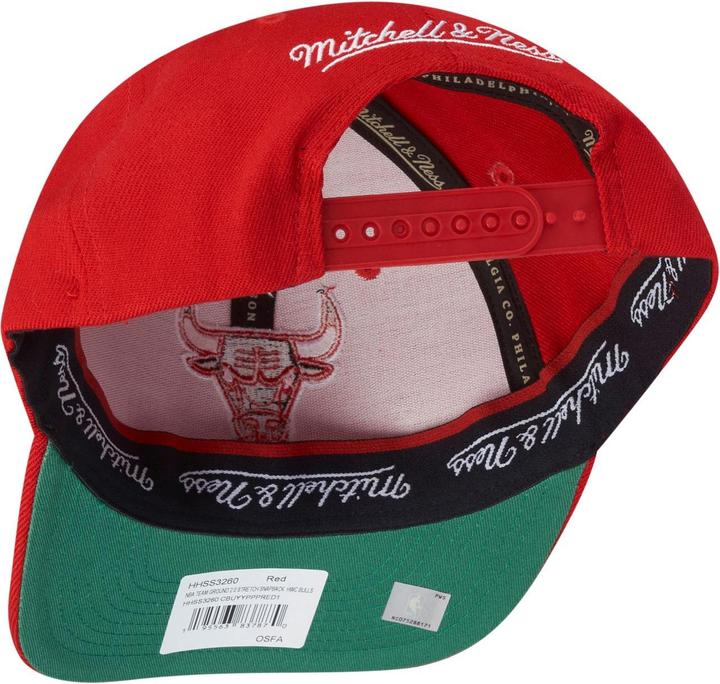 Actual product image Mitchell & Ness NBA Chicago Bulls Team Ground 2.0 Stretch Snapback Cap (One size)