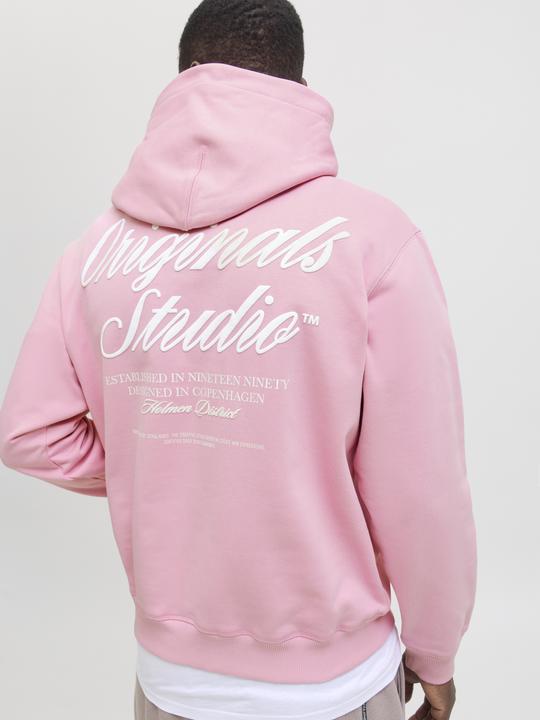 Actual product image Jack & Jones Kapuzenpullover Kapuzenpullover (XS)