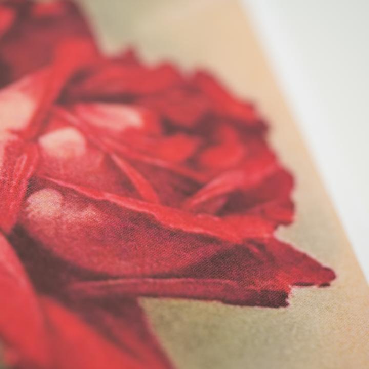 Image du produit Morley:»Was uns Rose heisst« - Über die (Allemand, Simon Morley, 2024)