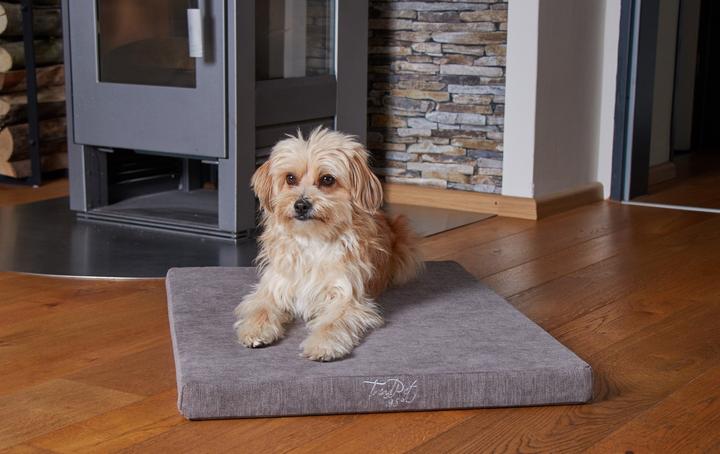 Actual product image Trend Pet Dog bed VitaMedog, L (Dog)