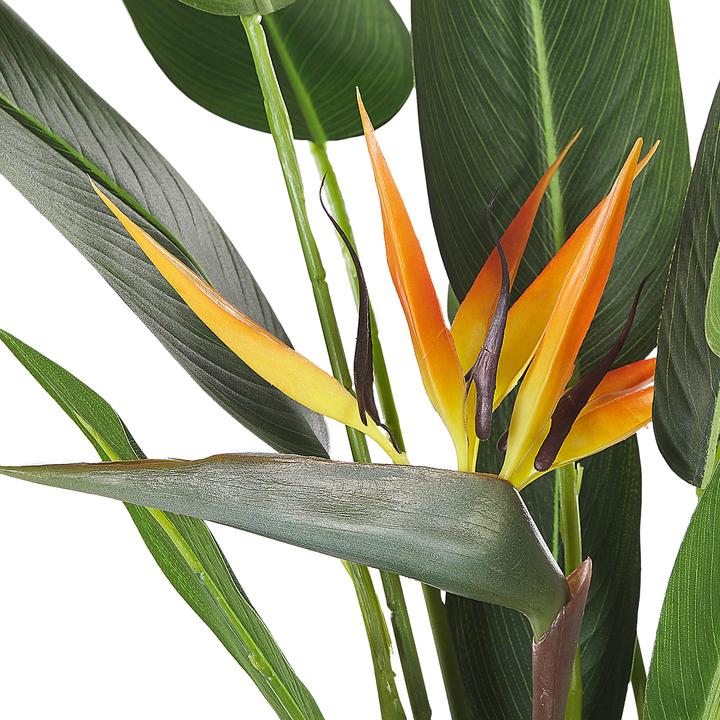 Produktbild Beliani Strelitzia Tree (115 cm)
