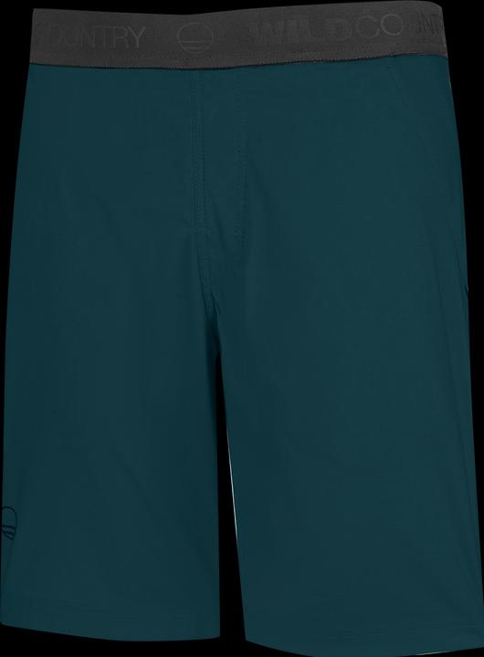 Actual product image Wild Country Session (L)