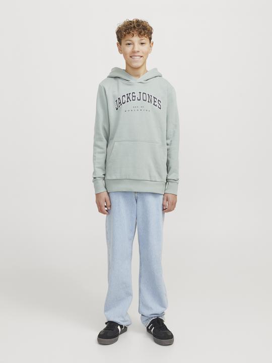 Image du produit Jack & Jones Jjecaleb Varsity Sweat Hood Noos Jnr (152)