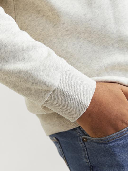 Actual product image Jack & Jones JJELOGO SWEAT HOOD 2 COL 24/25 NOOS PLS (4XL)