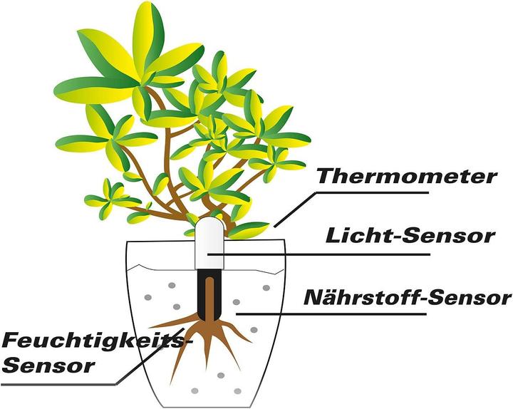 Immagine prodotto Royal Gardineer Sensore di piante 4in1 (Sensore di irrigazione)