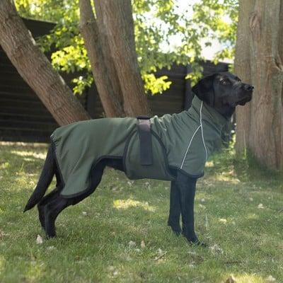Image du produit Siccaro RainForce 50 - (S2079) (Imperméable pour chien)