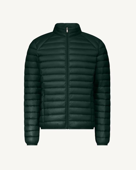JOTT 4286937 (M)