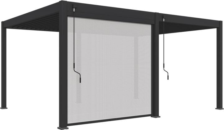 Weide Store électrique pour pergola électrique en osier | anthracite (248.50 cm, 9 cm)