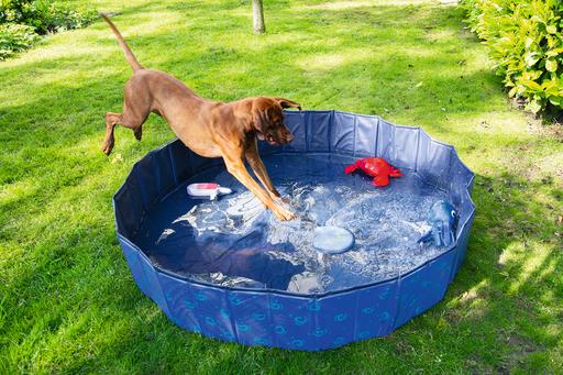 Immagine prodotto Karlie Doggy