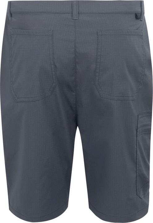 Actual product image Regatta Mens Dalry Multi Pocket Shorts (32)
