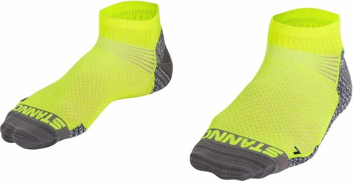 Actual product image Stanno Prime Quarter Socks (39, 42)