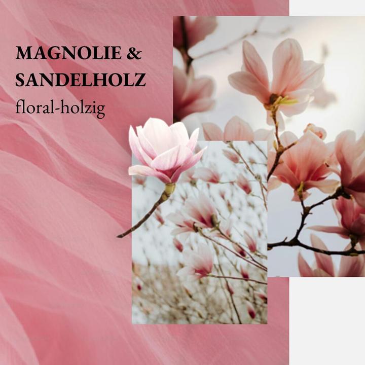 Immagine prodotto we:care2 Handseife (Sapone liquido, 250 ml)