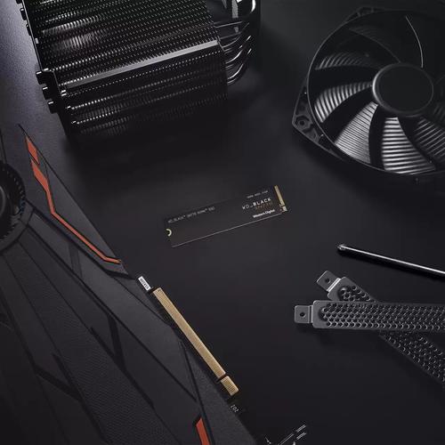 Actual product image WD Black SN770 Retail (2000 GB, M.2 2280)
