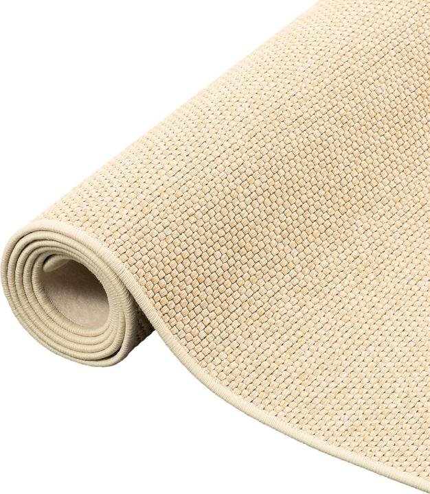 Produktbild Bentzon Natur Flachgewebe Teppich (200 x 300 cm)