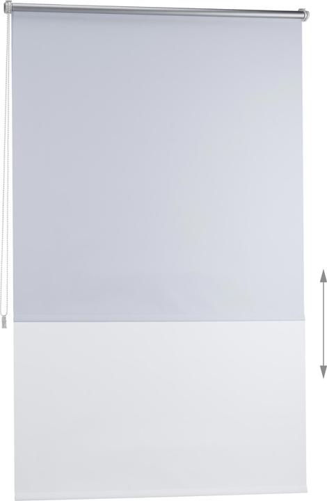 Image du produit Relaxdays Verdunklungsrollo (100 x 3,5 x 160 cm)
