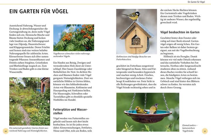 Produktbild Kosmos Gartenvögel lebensgross (Deutsch, Daniela Strauß, 2024)