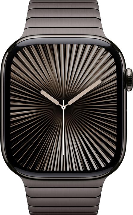 Productafbeelding Apple Schakelarmband (46 mm, Roestvrij staal)