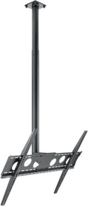 Produktbild Hagor HA DH 400 - 700 L (Decke, 75", 50 kg)