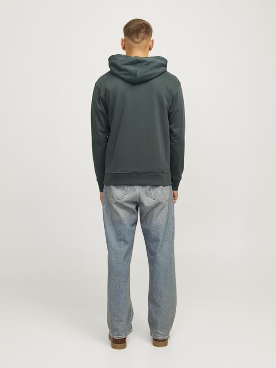 Produktbild Jack & Jones Jorportland Block Sweat Hood Ln (S)