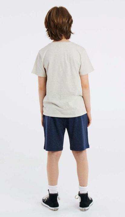 Actual product image Protest Jogging Shorts Prtrolan Jr (140)