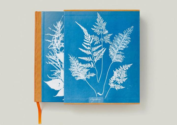 Produktbild Anna Atkins. Cyanotypes (Englisch, Französisch, Deutsch, Walther, Peter, 2023)