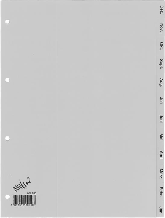 Produktbild BüroLine Kunststoff-Register für A4