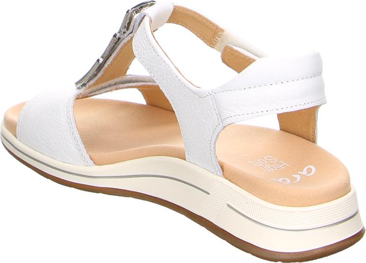 Actual product image Ara 12-34804-04 (39)