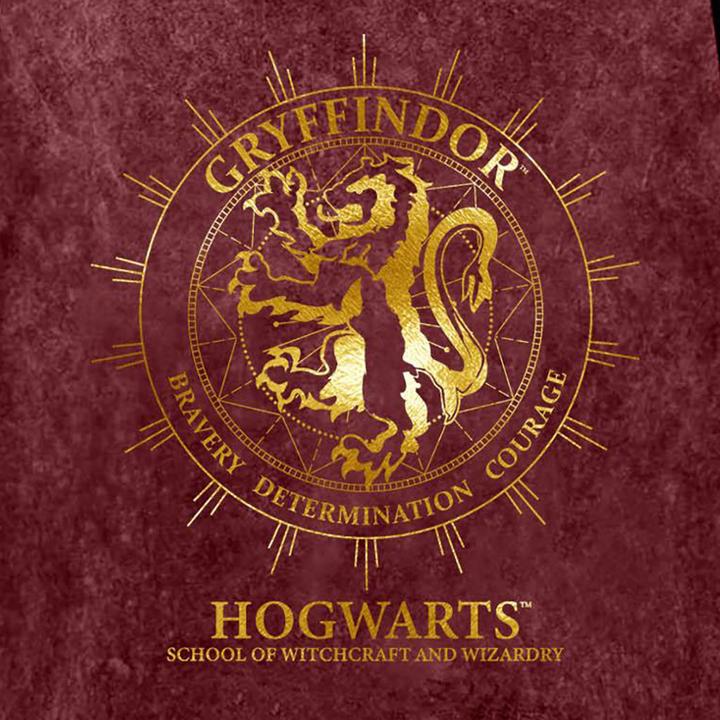 Actual product image Gryffindor Constellation Tshirt (L)