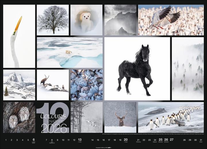 Produktbild Colours of Nature Kalender 2026 (68 x 49 cm, Harter Einband, Deutsch)