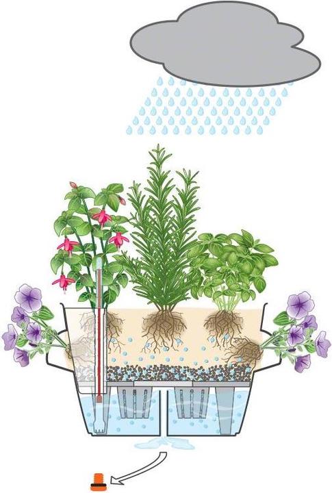 Produktbild Lechuza Cascadino (30 cm)
