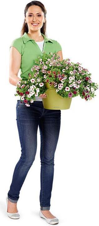 Produktbild Lechuza Cascadino (30 cm)