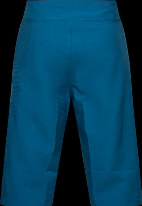 Image du produit Fox Defend Short (30)
