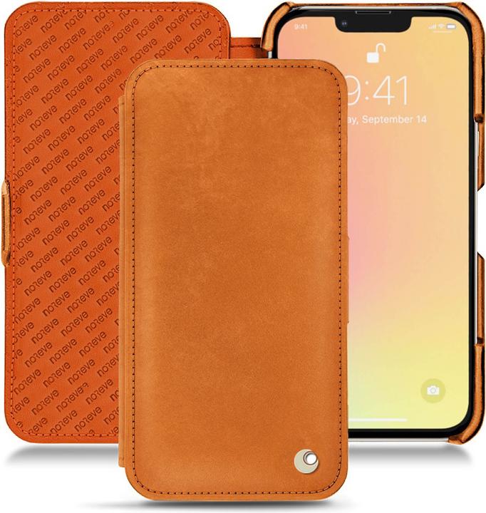 Mandarine vintage ( Pantone #d47231 )