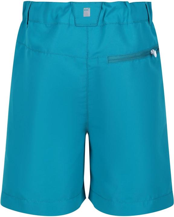 Actual product image Regatta Sorcer Ii Shorts (164)