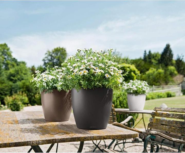 Actual product image Lechuza Classico Color (27.50 cm)