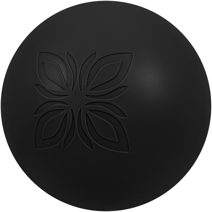 Actual product image Omnana MOON Pilatesball