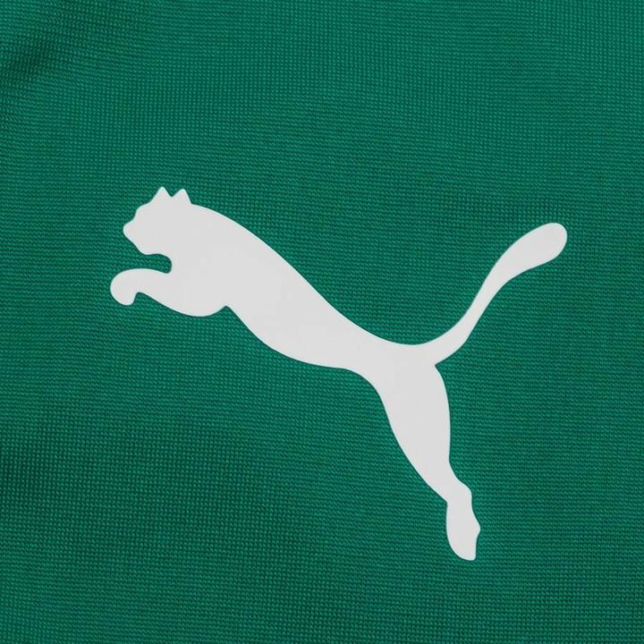 Image du produit Puma teamLIGA Top 1/4 Zip-657236 (XXL)