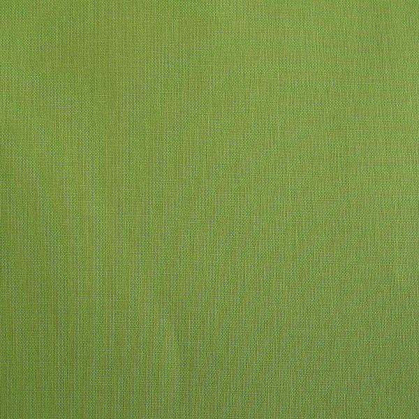 Actual product image Plum Alben Photo book Basic 230x300 hgreen (230 x 300 mm)
