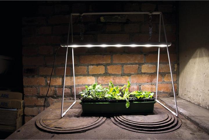 Actual product image Venso Growlight Duo (LED, 245 V)