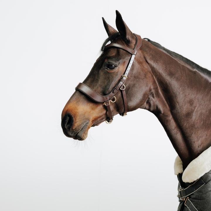 Produktbild Fouganza Gebisslose Trense Pferd/Pony braun