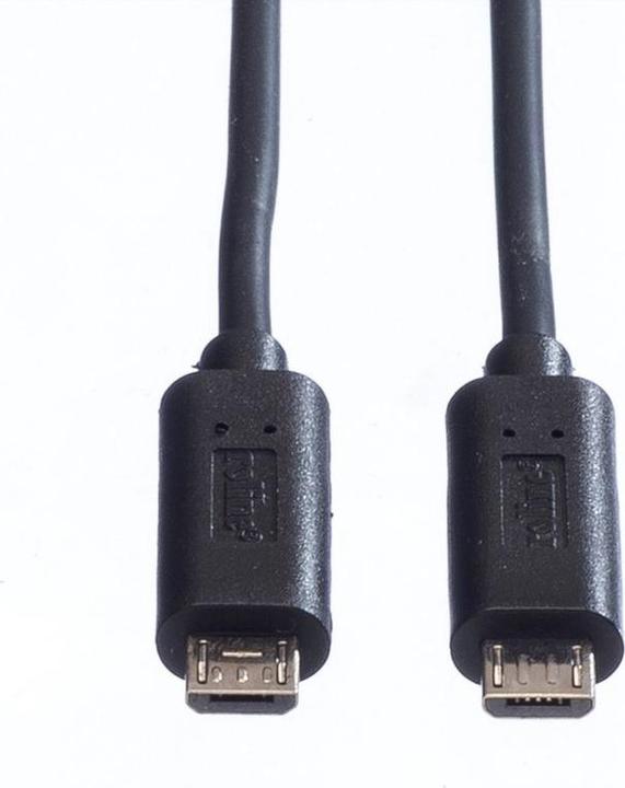 Image du produit Roline Câble de chargement USB (0.30 m, USB 2.0)