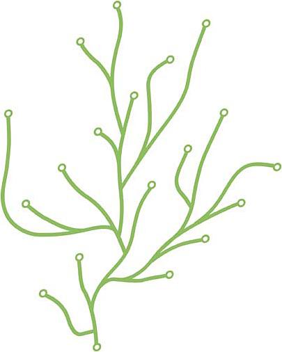 Produktbild Vitra Algue