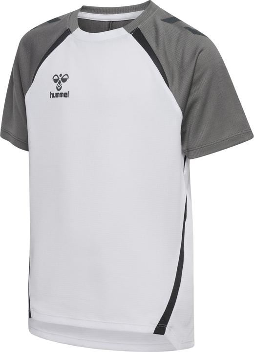 Steel Gray, White