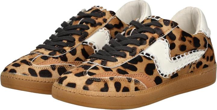 Actual product image Dolce Vita Sneaker (41)