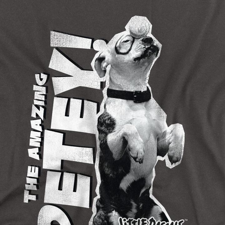Produktbild The Little Rascals Amazing Petey TShirt (XL)